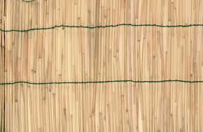 Zástěna bambus 2x5m VERDEMAX 6703